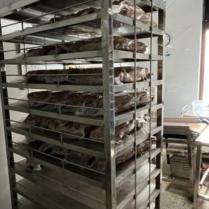 895bea8f-989f-4ff3-b569-3c86e5657ef6