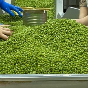 bca9ff70-7391-4336-82de-e8790b5ae773