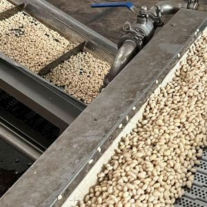 c4d1b094-6b91-48c0-a4ad-9070f4077aa6